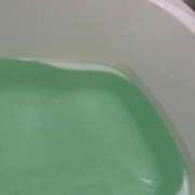 ヒメ日記 2025/06/25 13:15 投稿 ふう 若葉