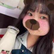 ヒメ日記 2025/07/09 18:25 投稿 ふう 若葉