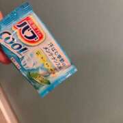 ヒメ日記 2025/07/09 23:09 投稿 ふう 若葉