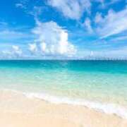 ヒメ日記 2025/07/19 19:44 投稿 ふう 若葉