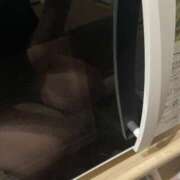 ヒメ日記 2025/07/27 02:25 投稿 ふう 若葉