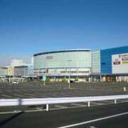 ヒメ日記 2025/07/29 00:05 投稿 ふう 若葉