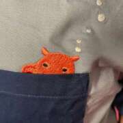 ヒメ日記 2025/07/29 12:13 投稿 ふう 若葉