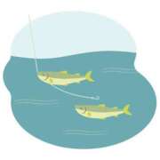 ヒメ日記 2025/07/29 21:23 投稿 ふう 若葉