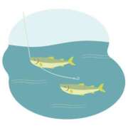 ヒメ日記 2025/07/29 21:35 投稿 ふう 若葉