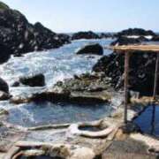 ヒメ日記 2025/08/05 15:56 投稿 ふう 若葉