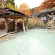 ヒメ日記 2025/08/06 10:38 投稿 ふう 若葉