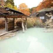 ヒメ日記 2025/08/06 10:45 投稿 ふう 若葉