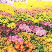 ヒメ日記 2025/08/09 21:55 投稿 ふう 若葉