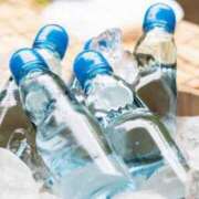 ヒメ日記 2025/08/14 11:19 投稿 ふう 若葉