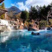 ヒメ日記 2025/08/23 19:12 投稿 ふう 若葉