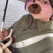 ヒメ日記 2025/08/24 09:20 投稿 ふう 若葉