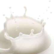 ヒメ日記 2025/09/17 14:08 投稿 ふう 若葉