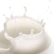 ヒメ日記 2025/09/17 14:25 投稿 ふう 若葉