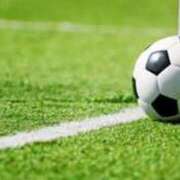 ヒメ日記 2025/09/20 13:17 投稿 ふう 若葉