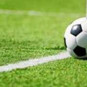 ヒメ日記 2025/09/20 13:32 投稿 ふう 若葉