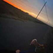 ヒメ日記 2025/10/08 23:45 投稿 ふう 若葉