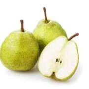 ヒメ日記 2025/10/16 14:45 投稿 ふう 若葉