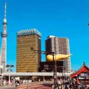 ヒメ日記 2025/11/03 12:19 投稿 ふう 若葉