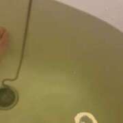 ヒメ日記 2025/11/06 13:55 投稿 ふう 若葉