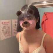 ヒメ日記 2025/11/09 11:00 投稿 ふう 若葉