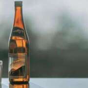 ヒメ日記 2025/11/09 16:00 投稿 ふう 若葉