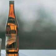 ヒメ日記 2025/11/09 16:05 投稿 ふう 若葉