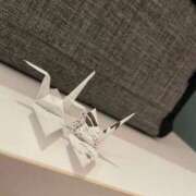 ヒメ日記 2025/11/09 17:01 投稿 ふう 若葉