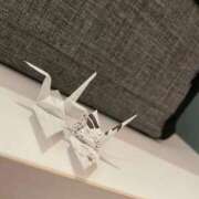 ヒメ日記 2025/11/09 17:05 投稿 ふう 若葉