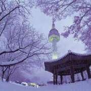 ヒメ日記 2025/11/13 14:39 投稿 ふう 若葉