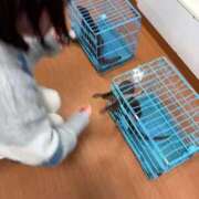 ヒメ日記 2025/11/21 04:05 投稿 ふう 若葉