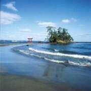 ヒメ日記 2025/11/21 12:00 投稿 ふう 若葉