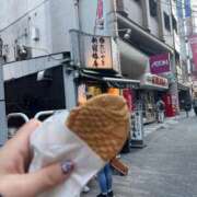 ヒメ日記 2025/11/23 17:45 投稿 ふう 若葉