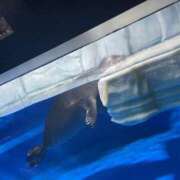 ヒメ日記 2025/11/24 16:15 投稿 ふう 若葉