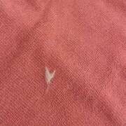 ヒメ日記 2025/12/25 02:09 投稿 ふう 若葉