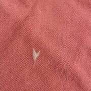 ヒメ日記 2025/12/25 02:15 投稿 ふう 若葉