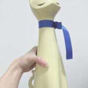 ヒメ日記 2024/12/29 22:30 投稿 かのん 逆電車ごっこ ～GLAMOROUS TRAIN～