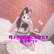 ヒメ日記 2024/12/08 18:20 投稿 アクア マリン千姫