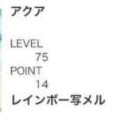 ヒメ日記 2024/12/12 07:17 投稿 アクア マリン千姫