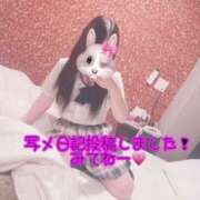 ヒメ日記 2025/01/04 12:07 投稿 アクア マリン千姫