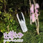 ヒメ日記 2025/09/23 06:12 投稿 アクア マリン千姫