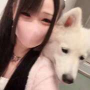 ヒメ日記 2025/10/11 14:02 投稿 アクア マリン千姫