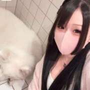 ヒメ日記 2025/10/18 15:04 投稿 アクア マリン千姫