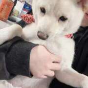 ヒメ日記 2025/10/24 08:15 投稿 アクア マリン千姫