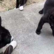 ヒメ日記 2025/11/16 13:12 投稿 アクア マリン千姫