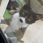 ヒメ日記 2025/11/16 14:19 投稿 アクア マリン千姫