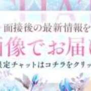 ヒメ日記 2025/11/17 09:12 投稿 アクア マリン千姫