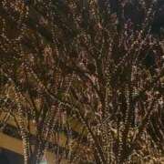 ヒメ日記 2025/12/07 06:12 投稿 アクア マリン千姫