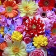 ヒメ日記 2025/01/16 15:03 投稿 初美(はつみ) グランドオペラ横浜