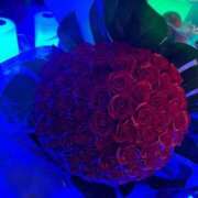 ヒメ日記 2025/03/08 14:31 投稿 初美(はつみ) グランドオペラ横浜